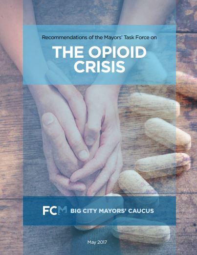 The opioid crisis : recommendations