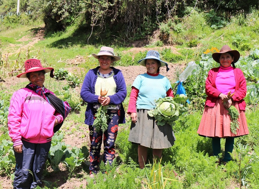 l'Association des femmes de Ccapacmarca, Cusco (Pérou)