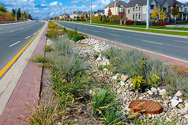 A highway road with a centre median that has been developed with rocks, vegetation and water drainage systems. Housing sits in the background. 