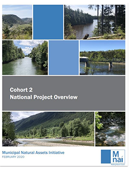 Cover of Cohort 2: National Project Overview.  