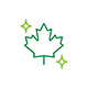 A dark-green outline of a maple leaf is flanked by two dark-green sparkles, the first sits in the top-left corner, the second in the bottom-right.