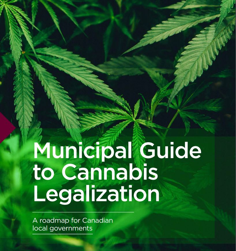 Municipal Guide to Cannabis Legalization