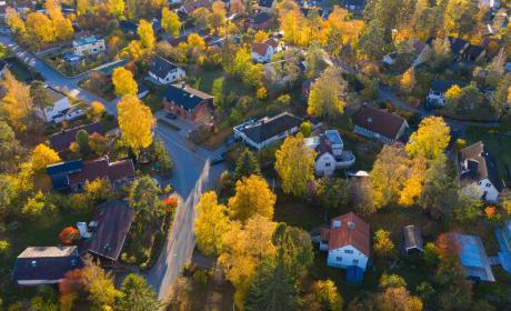 A residential neighborhood lined with yellow trees.