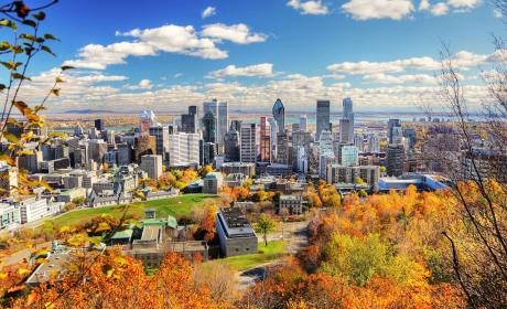 A Mountain view of Montreal City, Canada in the fall. The sky is clear and it is a sunny day.